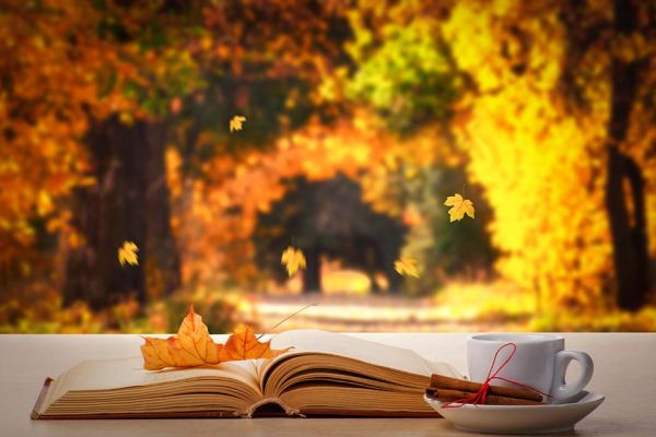 Foto: Blatt auf Buch